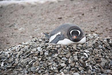 《最后纪元》评价下滑 游戏总监承诺将继续改进